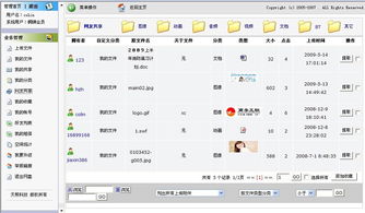 天照科技 上海網(wǎng)站建設與軟件設計的一站式解決方案